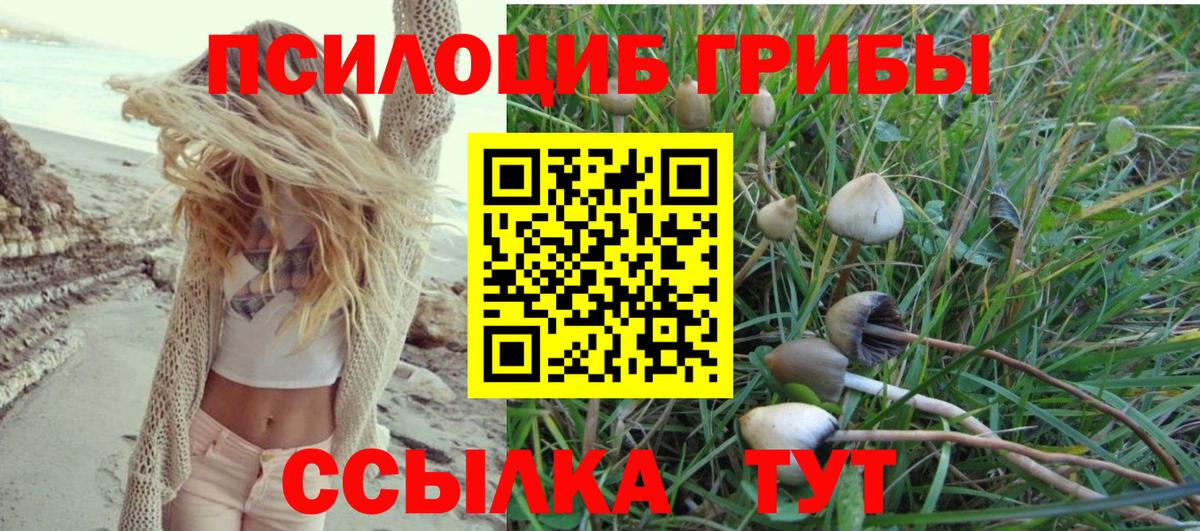Кинель  Псилоцибиновые грибы Magic Shrooms  Галлюциногенные грибы мицелий  Вход с VPN 