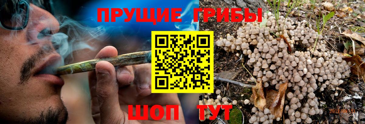 Галлюциногенные грибы мицелий Кинель